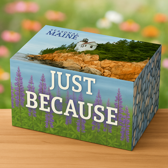 Just Becausey Gift Box  -  (Premium)