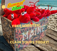New Customer Summer Vibes