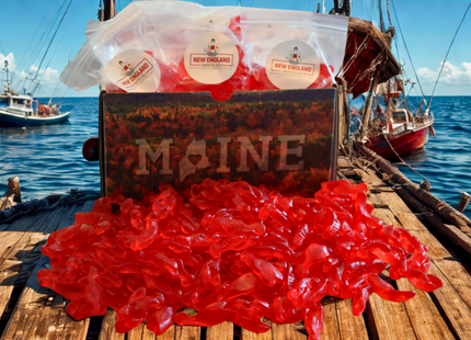 Maine Lobster Gummy Candy, 4oz Bag