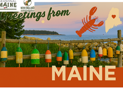 Maine Buoy 5x7 Post Card